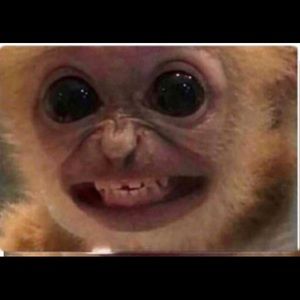 Meet your Posher, Greg